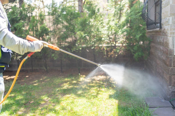 Best Lawn Pest Control  in Norristown, PA